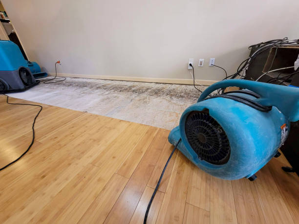 Reliable Crawl Space Water Removal contractor in Waterloo, IA by Hirex Water Damage