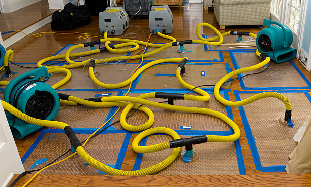 Professional Crawl Space Water Removal technician working in Waterloo, IA